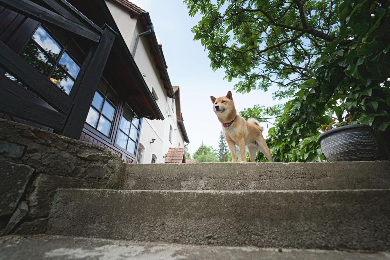 Penzion Onyx Cesky Krumlov Bagian luar foto